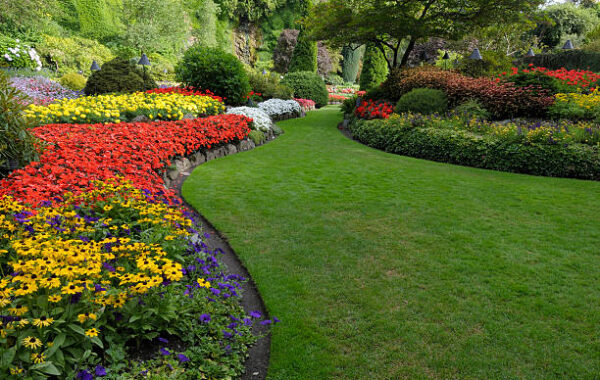 istockphoto-92624397-612x612 istockphoto-92624397-612x612